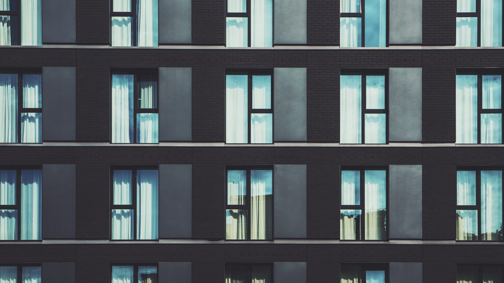 current trends in window design
